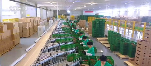 100億 10億 8.7萬億 鄉(xiāng)村特色產(chǎn)業(yè)領(lǐng)域拓寬 發(fā)展韌性強(qiáng)